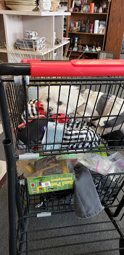 Thrift Store «WINGS Resale Store», reviews and photos, 300 W Golf Rd, Schaumburg, IL 60195, USA