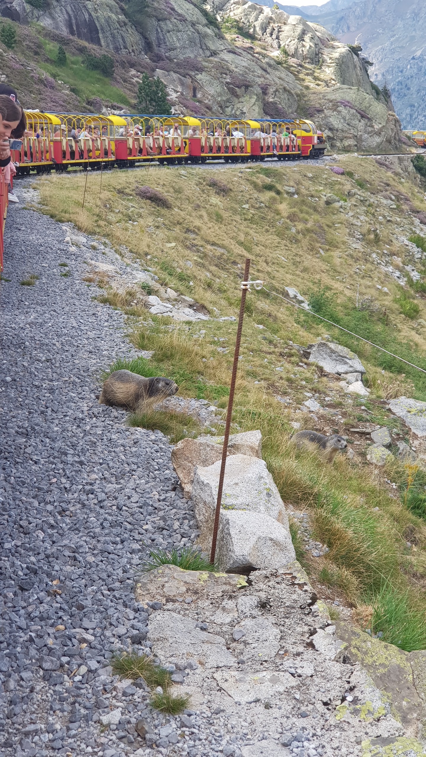 Photo n° 6 de l'avis de Dessineu.a fait le 24/08/2019 à 17:24