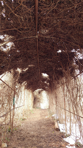 Nature Preserve «Welwyn Preserve», reviews and photos, 100 Crescent Beach Rd, Glen Cove, NY 11542, USA