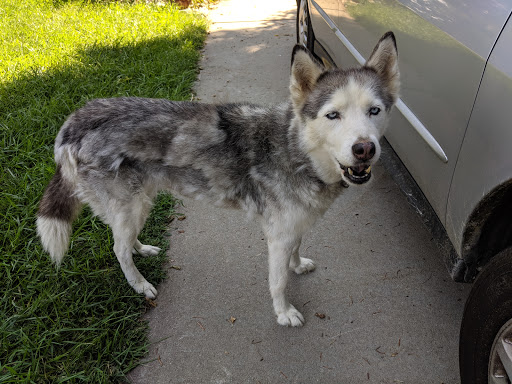 Pet Groomer «That Dog Wash», reviews and photos, 1401 Jackson St, Omaha, NE 68102, USA