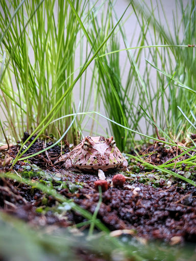 Tropical Fish Store «Sunset Pet & Supplies», reviews and photos, 1373 Sunset Blvd, Los Angeles, CA 90026, USA