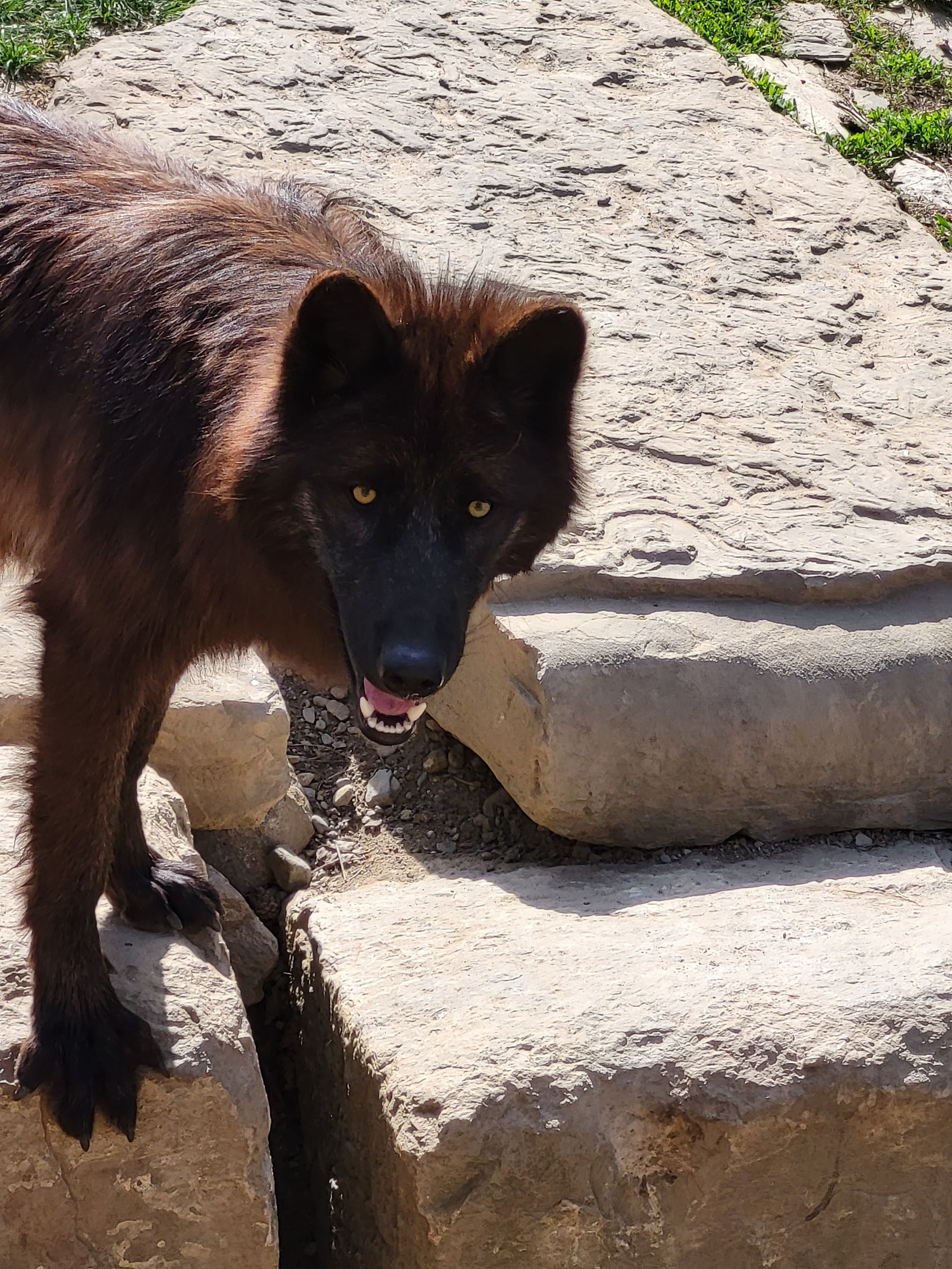 Photo n° 1 de l'avis de Nadine. fait le 16/04/2023 à 13:06