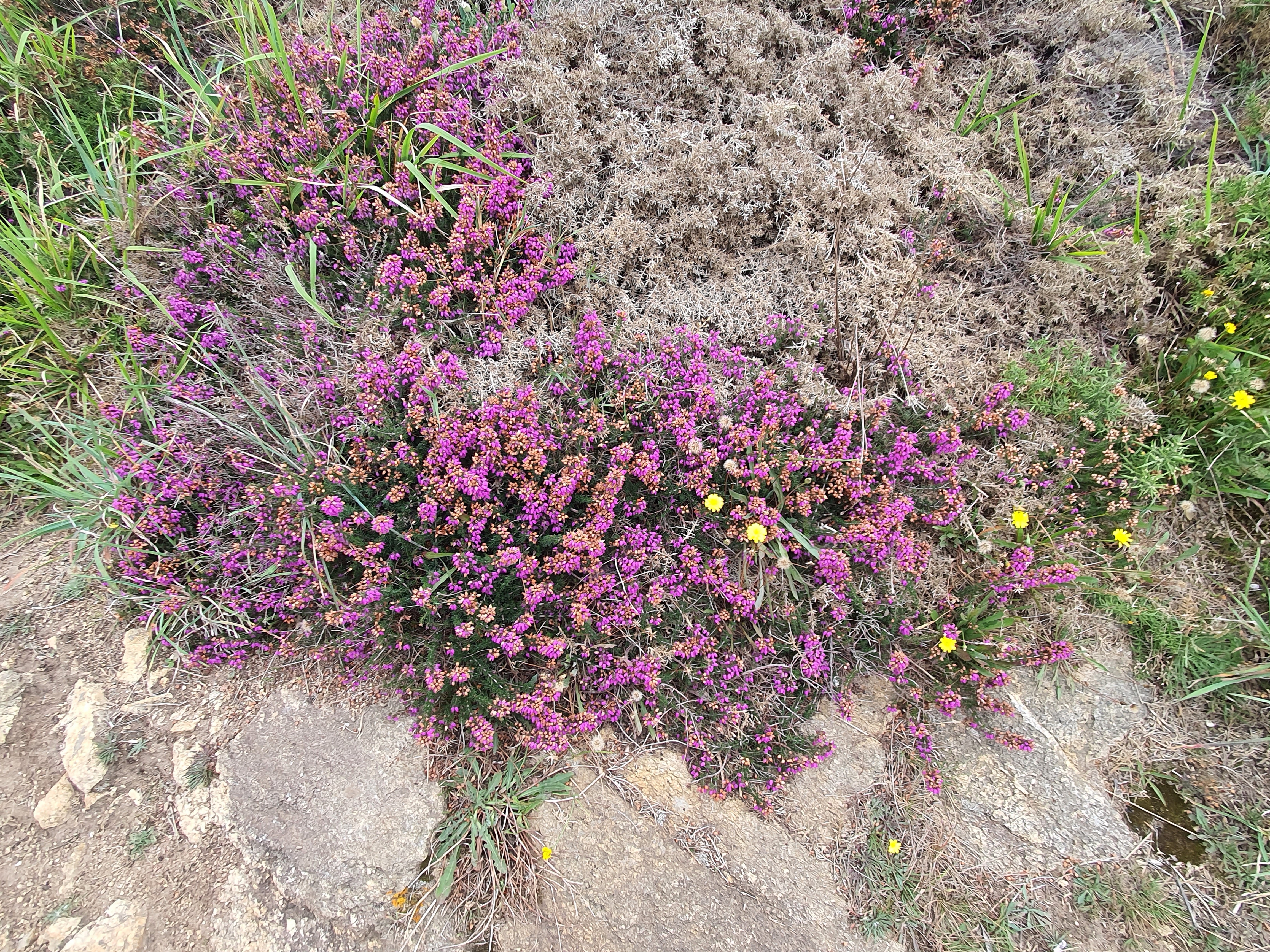 Photo n° 6 de l'avis de Cathy.o fait le 08/09/2023 à 14:28