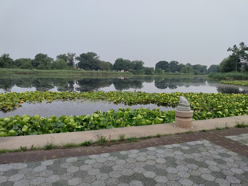 Park «Baisley Pond Park», reviews and photos, Baisley Blvd, Jamaica, NY 11434, USA