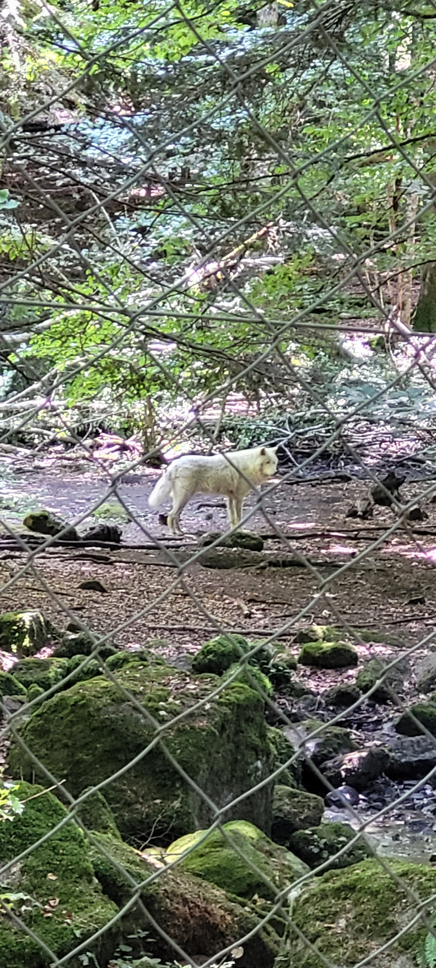 Photo n° 6 de l'avis de Pamela.a fait le 18/09/2022 à 12:17