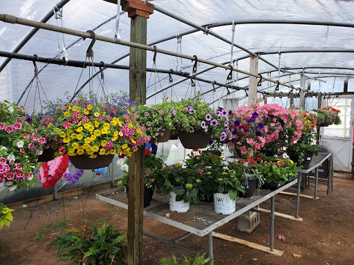 Florist «McClure-Parkhurst Florist», reviews and photos, 25815 W 10 Mile Rd, Southfield, MI 48033, USA