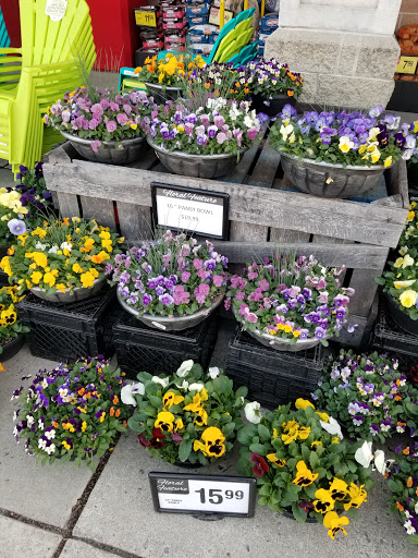 Grocery Store «ACME Markets», reviews and photos, 857 NJ-45, Woodstown, NJ 08098, USA