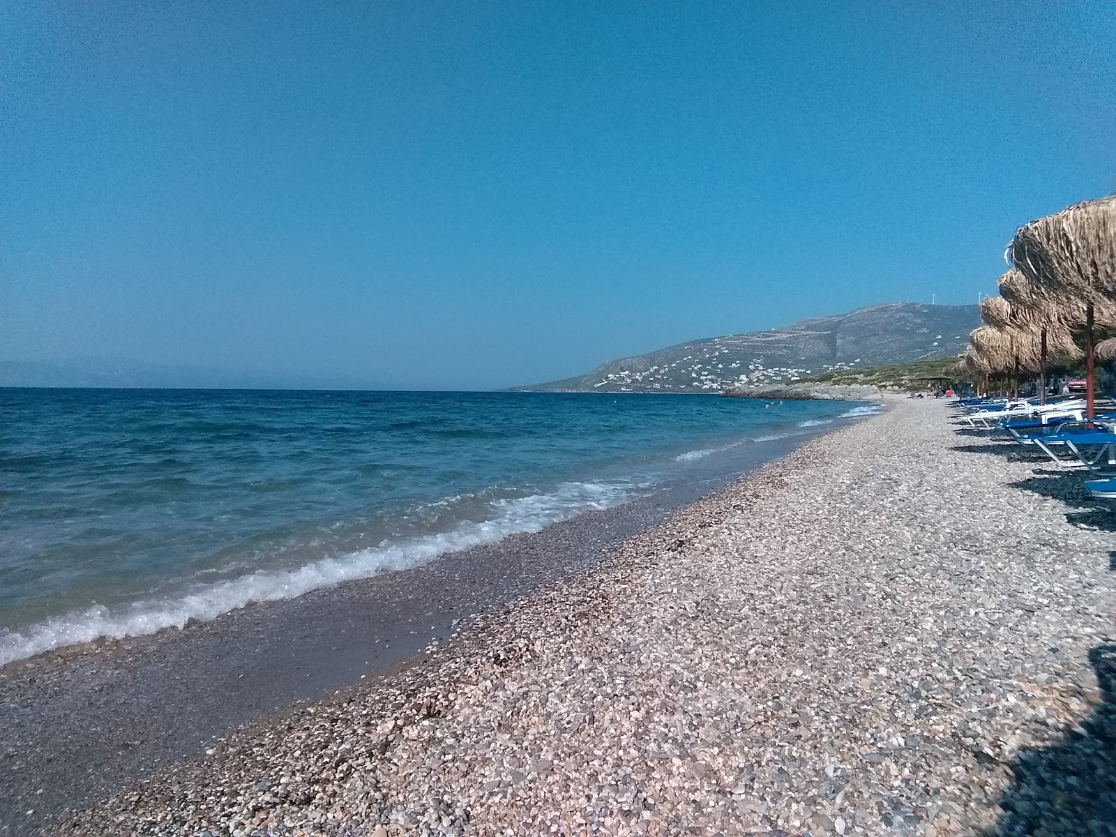 Mouse beach photo #9