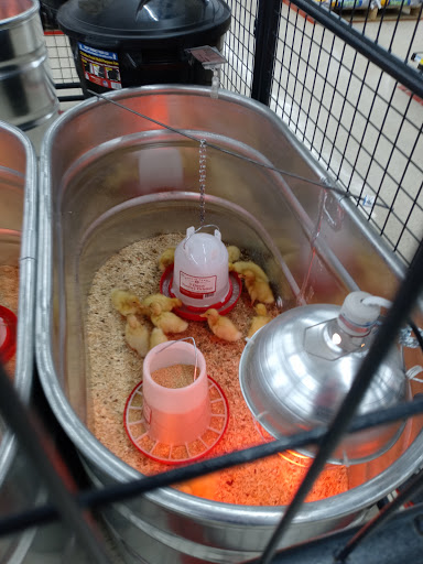 Home Improvement Store «Tractor Supply Co.», reviews and photos, 1149 E Main St, Ravenna, OH 44266, USA