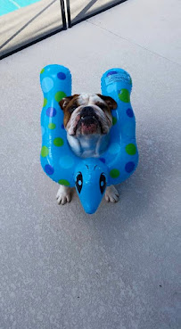 Floresta Pool Center - Photo 4 - Car repair in Port St. Lucie, FL, Port St. Lucie