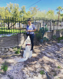 The Dog Training Spot - Photo 2 - Car repair in Wildwood, FL, Leesburg