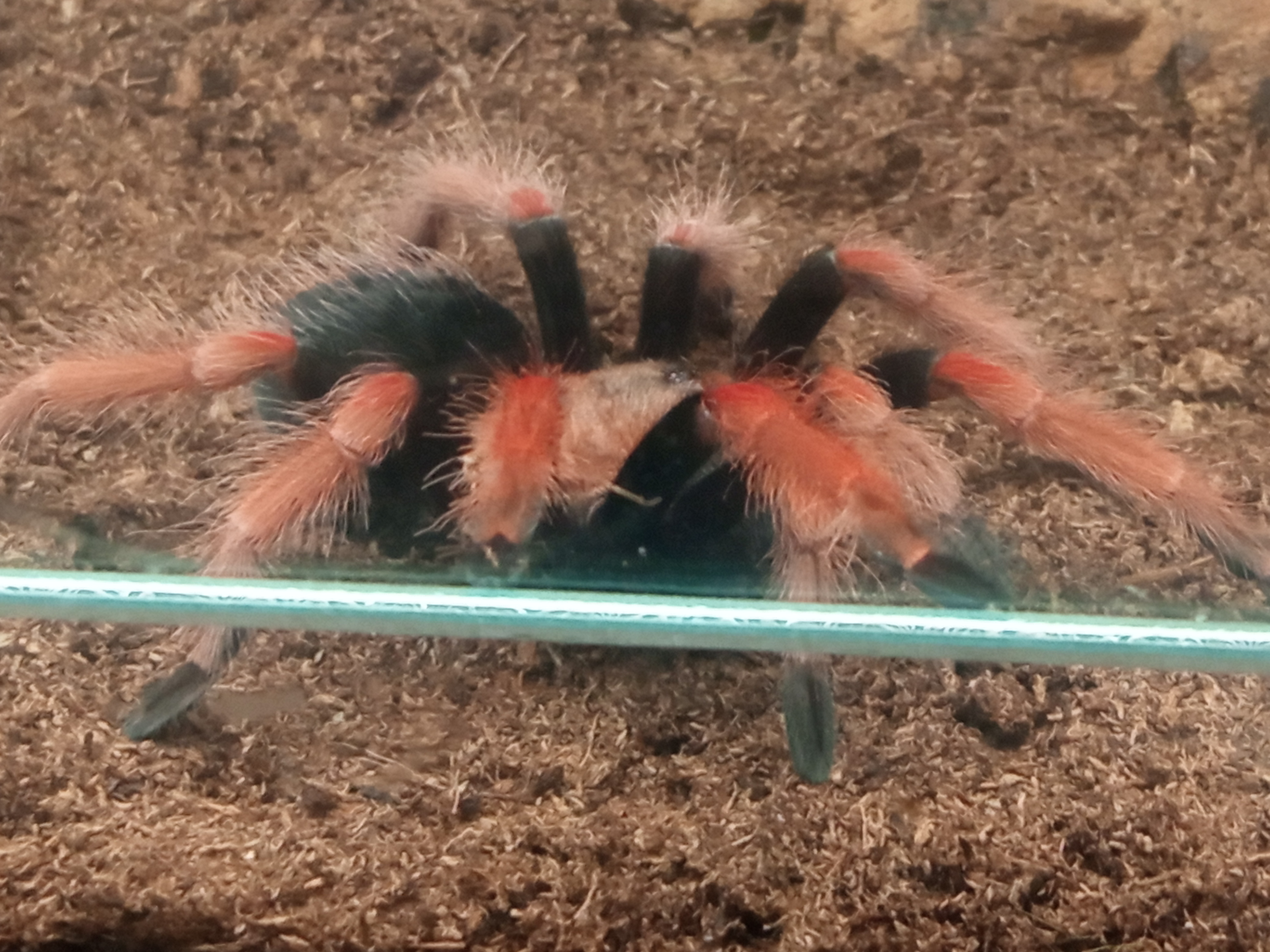 Photo n° 4 de l'avis de Colette.a fait le 26/10/2023 à 17:10