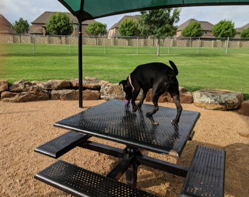 Dog Park «Freedom Dog Park», reviews and photos, 2675 Trophy Park Dr, Roanoke, TX 76262, USA