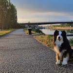 Photo n°1 de l'avis de Pascal.a fait le 02/08/2023 à 08:55 sur le  ibis Styles Regensburg à Regensburg