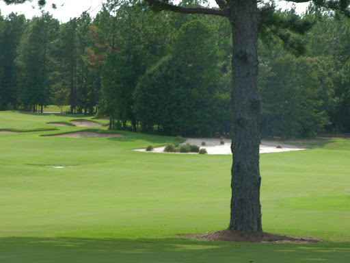 Golf Course «Pine Dunes Golf Course», reviews and photos, 159 Private Rd 7019, Frankston, TX 75763, USA