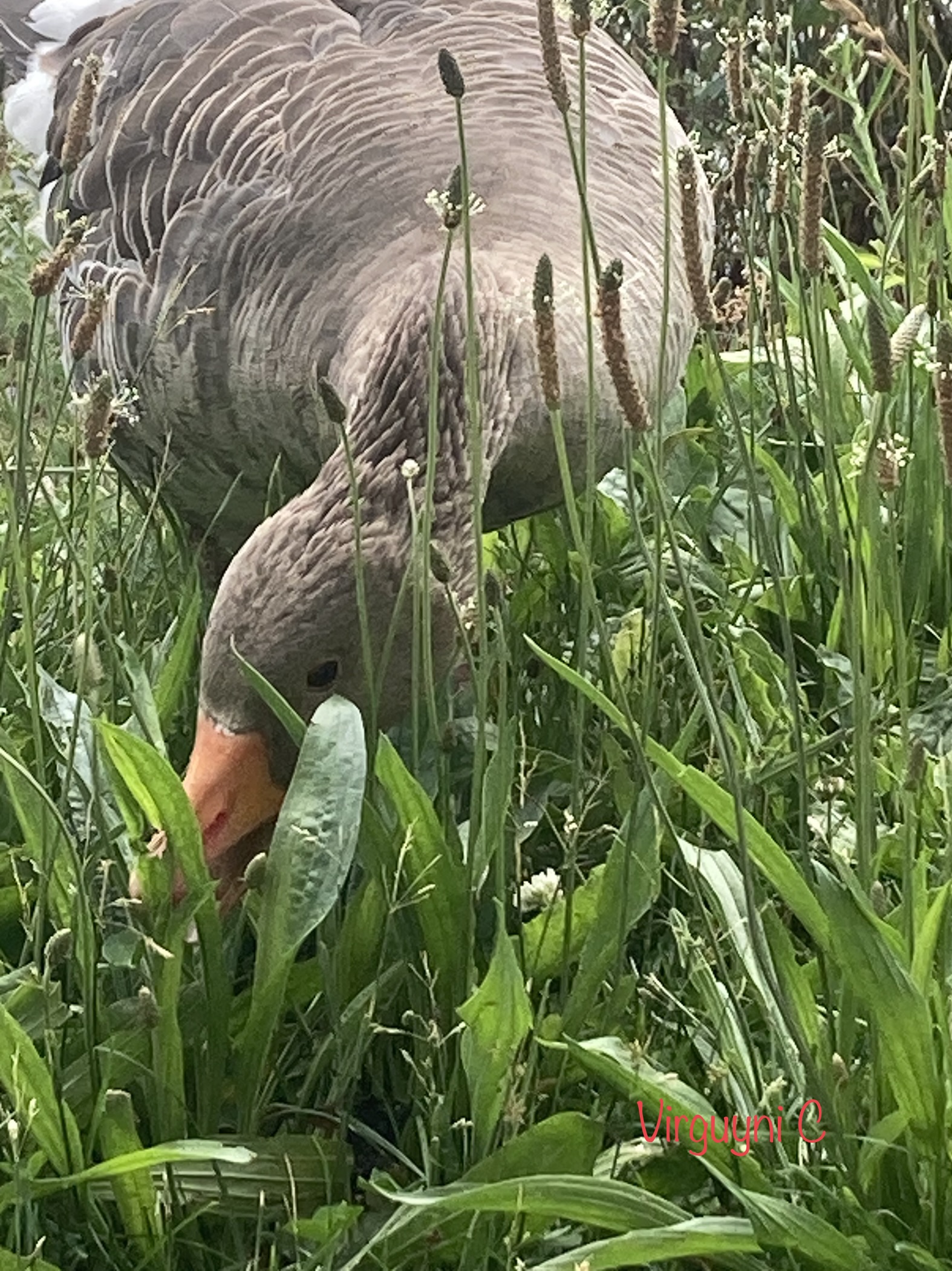 Photo n° 9 de l'avis de Virginie.n fait le 10/06/2022 à 08:34