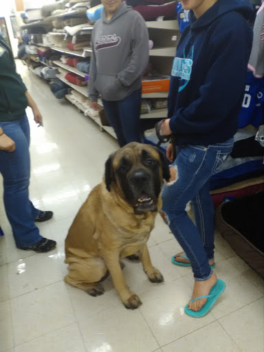 Pet Supply Store «Pet Supplies Plus», reviews and photos, 2202 S Bend Ave Suite 1, South Bend, IN 46635, USA