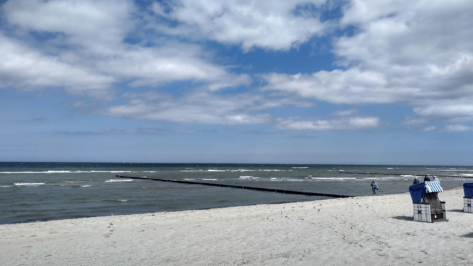 Black Bush Beach'in fotoğrafı geniş plaj ile birlikte