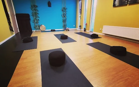 Roos Oesterman - Yoga | Massage | Therapie image