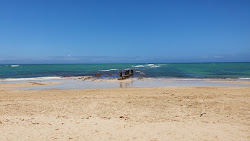Old Jetty beach'in fotoğrafı vahşi alan