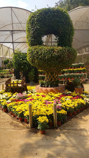 Vivero Xochimilco – Berriozábal