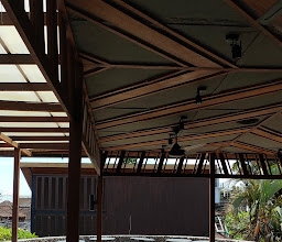 Starbucks Monkey Forest photo