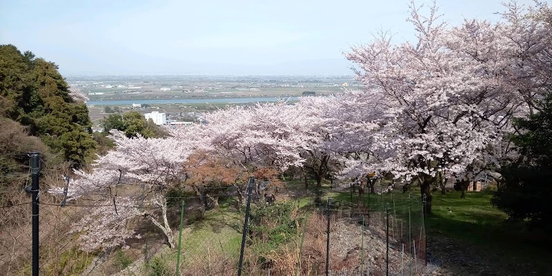 千本桜