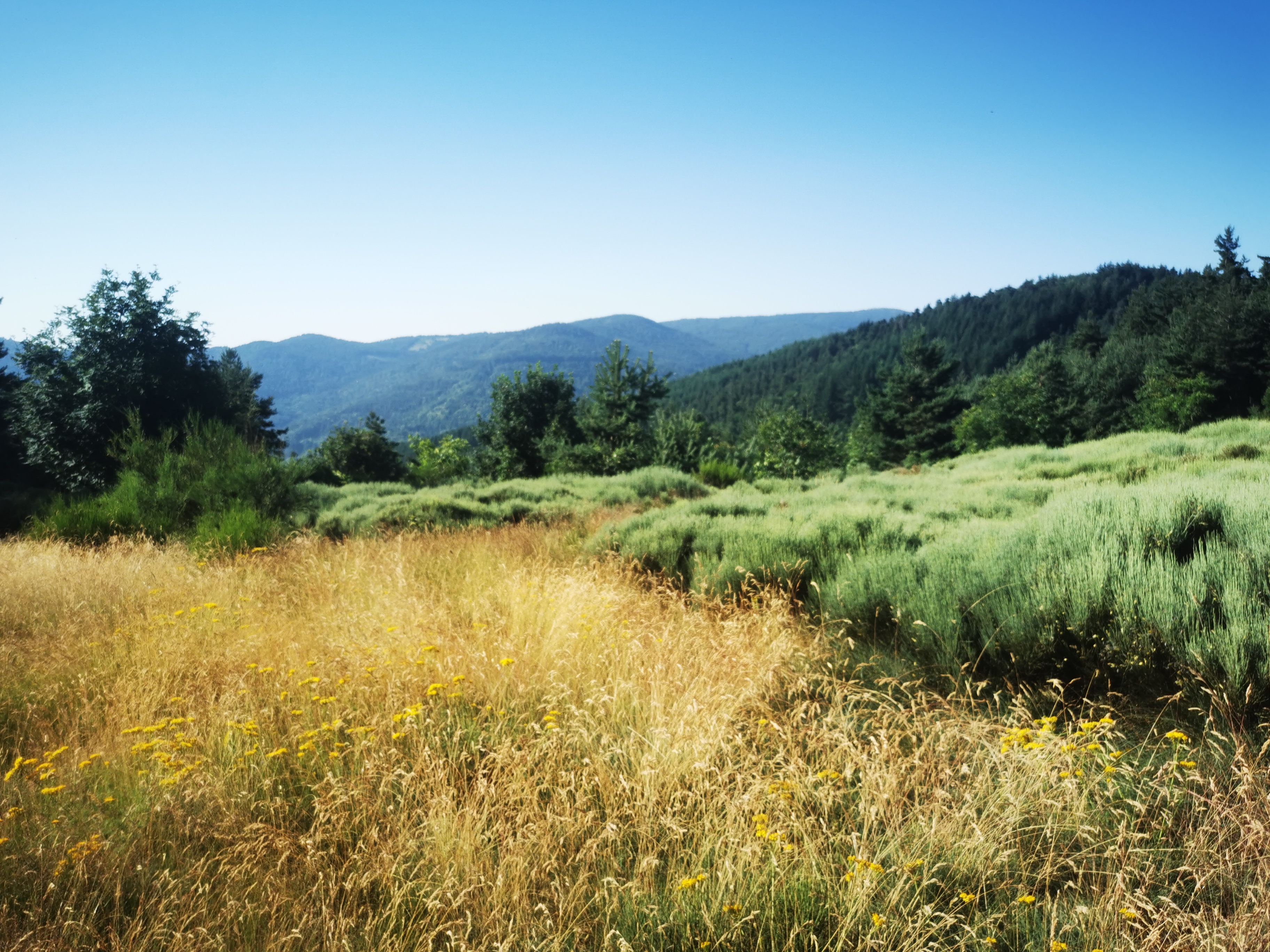 Photo n° 28 de l'avis de Seb. fait le 14/07/2023 à 04:55