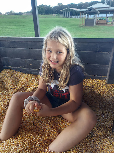 Farm «Warbington Farms (U-Pick Strawberries)», reviews and photos, 5555 Crow Rd, Cumming, GA 30041, USA