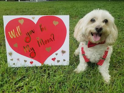 Fairy Dog Mother Pet Care