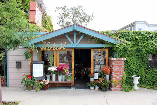 Dried flower shop Ventura