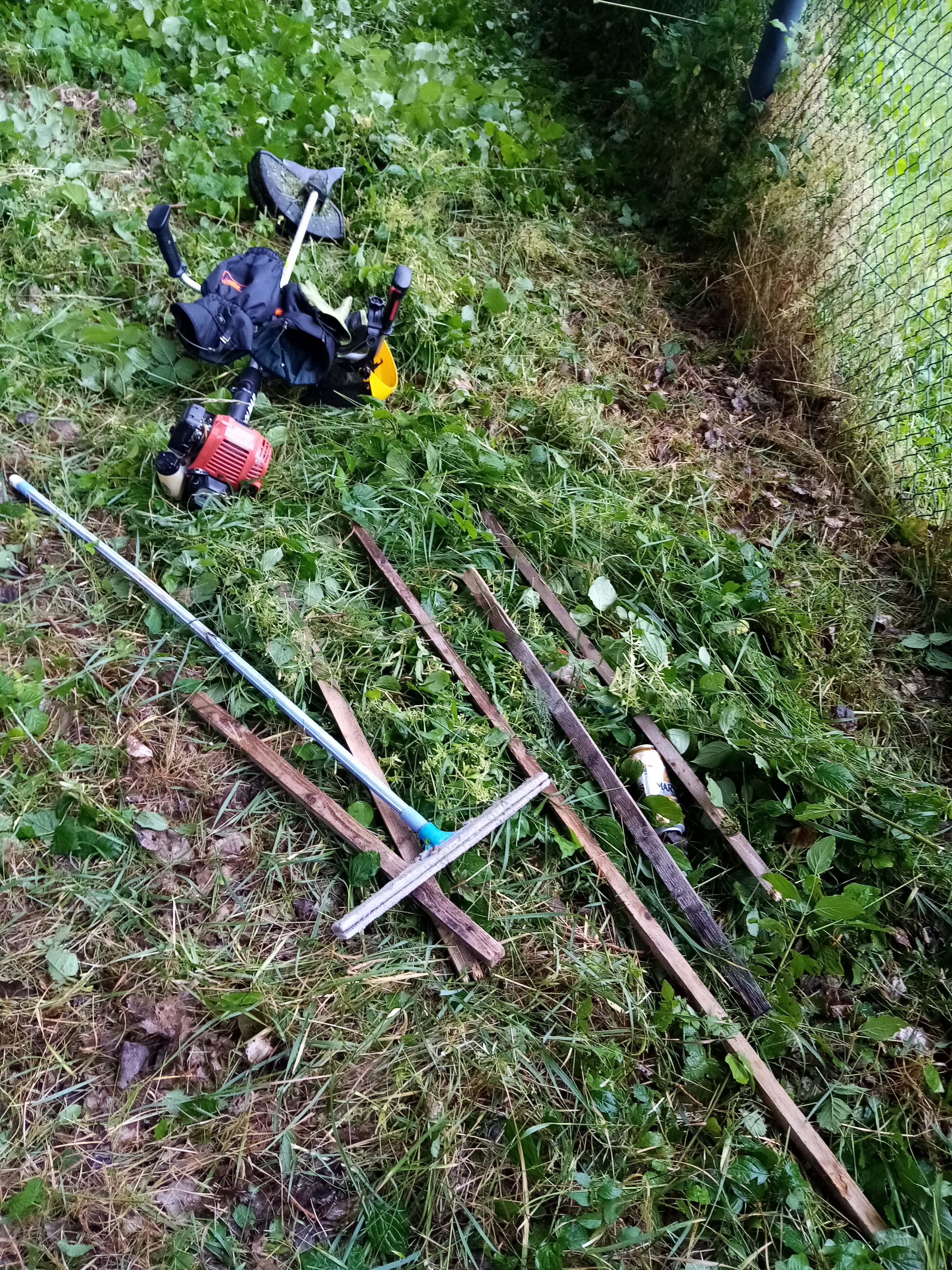 Photo n° 4 de l'avis de gerard.e fait le 09/01/2023 à 15:18