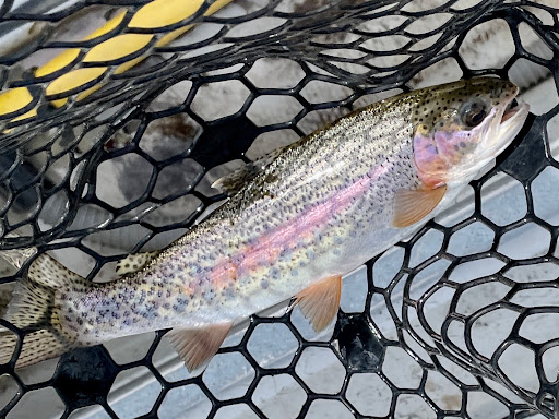 Fishing Store «Minturn Anglers», reviews and photos, 102 Main St, Minturn, CO 81645, USA