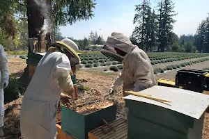 Joyful Honey and Beekeeping Supplies LLC image