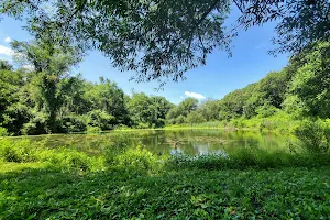 The Ponds at Apple Park image