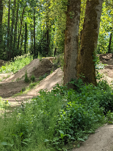 Meldrum Bar Bike Park