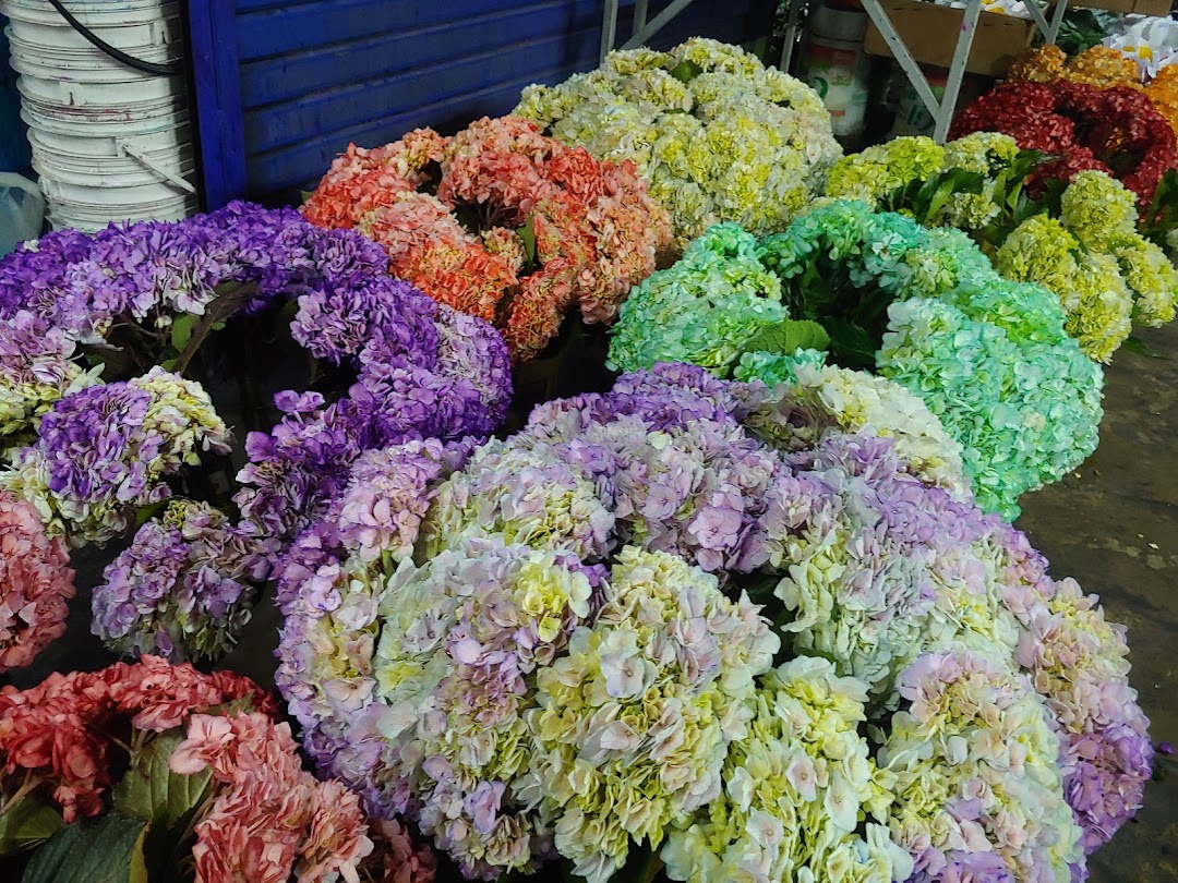 Asociación de Floricultores del Perú