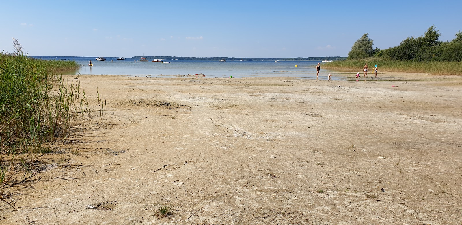 Zdjęcie Badestrand Kolpinsee z powierzchnią jasny piasek