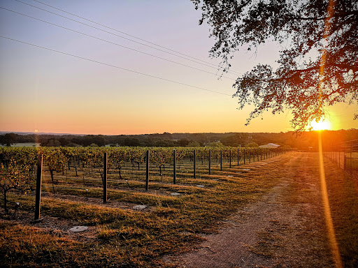 Vineyard «Texas Hills Vineyard», reviews and photos, 878 Ranch Rd 2766, Johnson City, TX 78636, USA