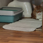 Photo n°5 de l'avis de aurora.u fait le 31/08/2021 à 05:24 sur le  Hotel Ristorante Cimone à Riolunato