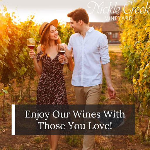 Vineyard «Nickle Creek Vineyard», reviews and photos, 12 King Rd, Foster, RI 02825, USA