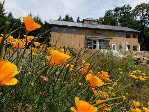 Winery «Blizzard Wines», reviews and photos, 29495 SW Burkhalter Rd, Hillsboro, OR 97123, USA