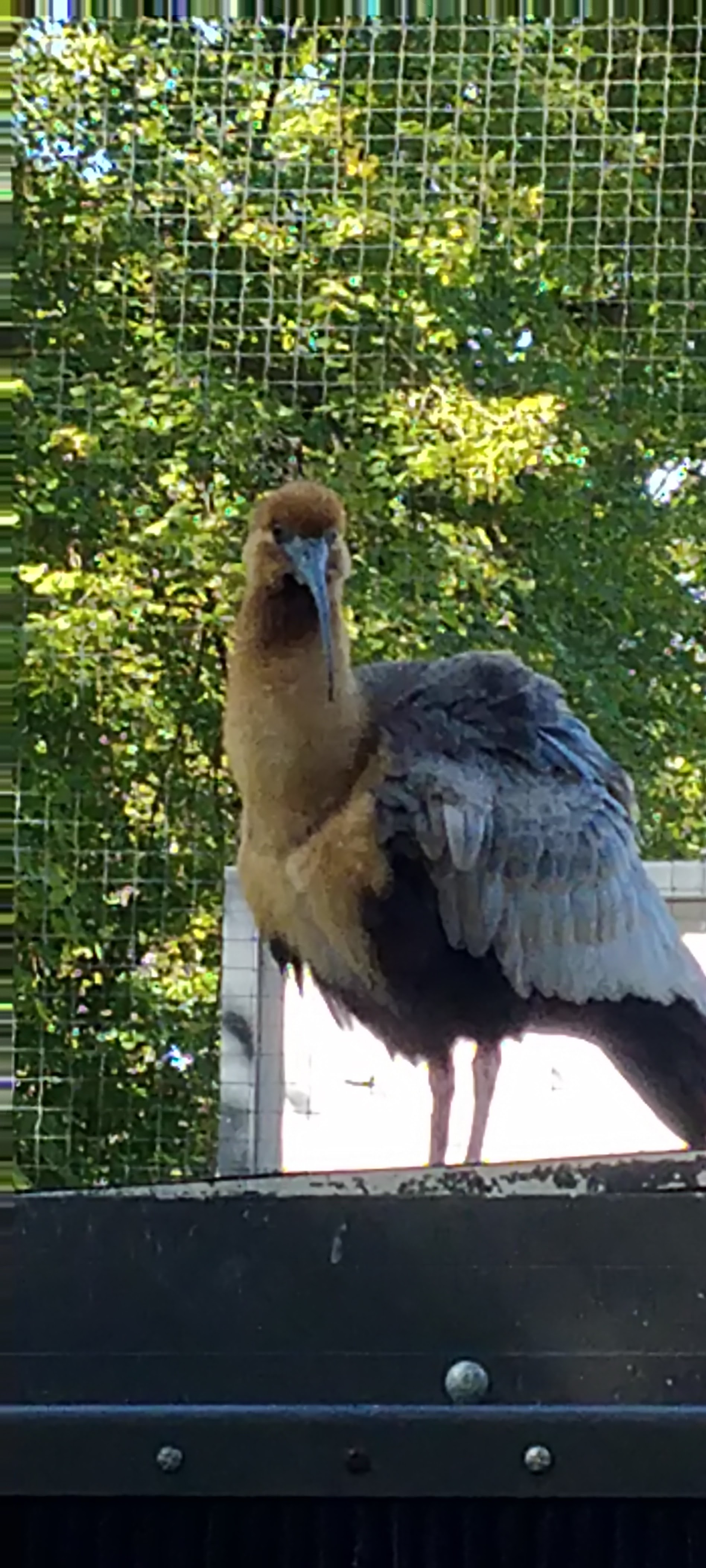 Photo n° 2 de l'avis de Bernard.e fait le 12/09/2022 à 09:16