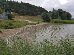 Photo de Badestelle Feisneck - endroit populaire parmi les connaisseurs de la détente