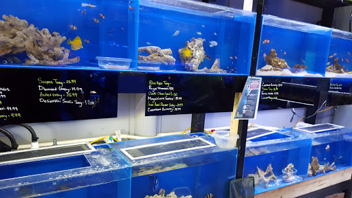 Tropical Fish Store «Blue Earth Corals & Aquariums», reviews and photos, 5791 Desoto Rd, Lake Worth, FL 33463, USA