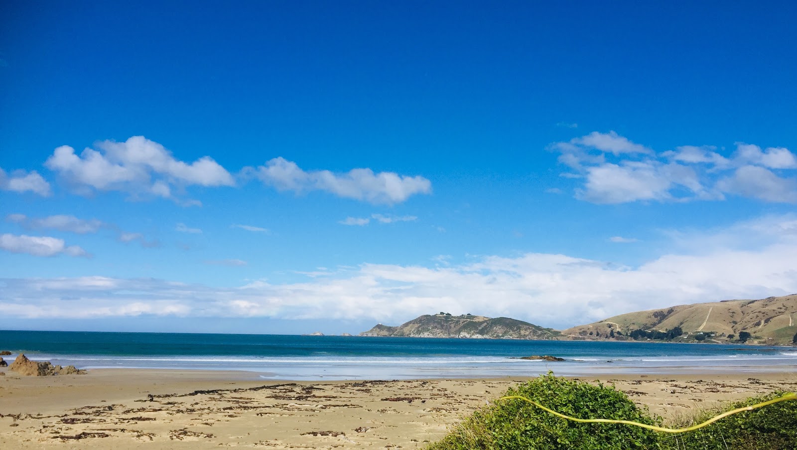 Kaka Point Beach的照片 带有长直海岸