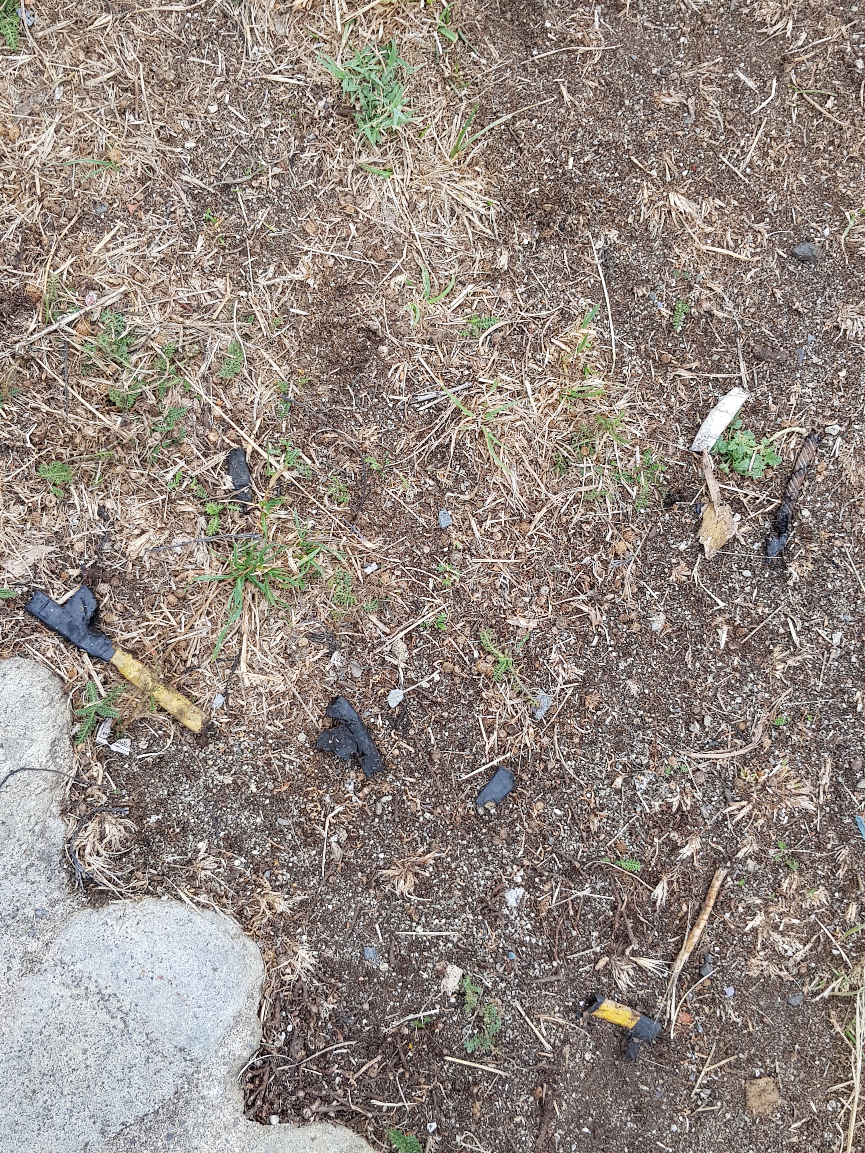 Photo n° 2 de l'avis de Maxence.u fait le 12/08/2019 à 16:47