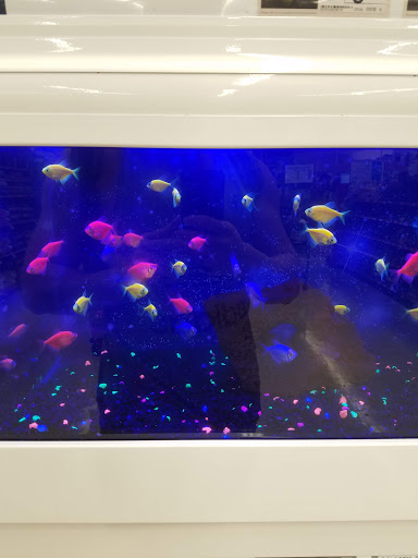 Pet Supply Store «Petco Animal Supplies», reviews and photos, 420 El Cerrito Plaza, El Cerrito, CA 94530, USA