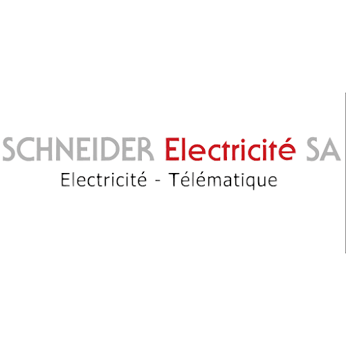 Rezensionen über Schneider Electricité S.A. in La Chaux-de-Fonds - Elektriker