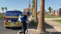 Blue Diamond Pest Control - Photo 5 - Car repair in St. George, UT, St. George